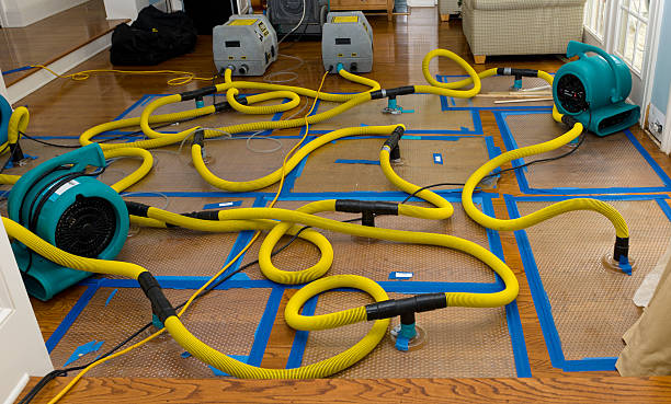 Professional Crawl Space Water Removal technician working in Elmer City, WA